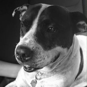 Meet your Posher, Shainnon